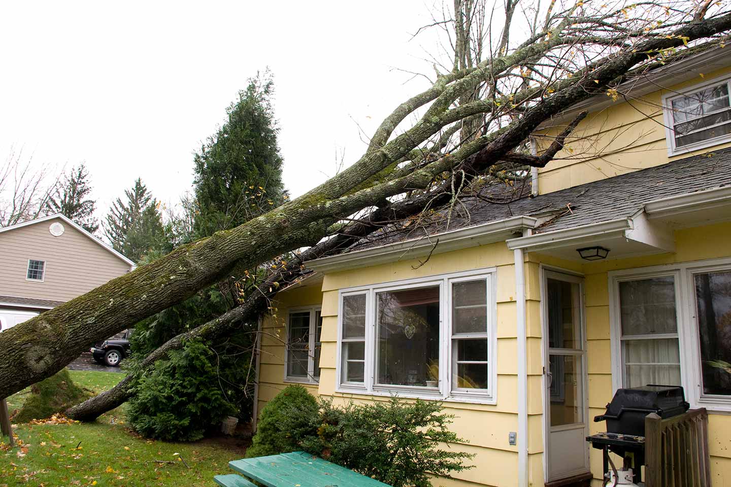 arbre tombé sur la maison à cause du vent