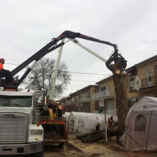 équipement de Émondage SBP