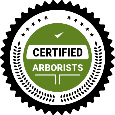 certified arborists
