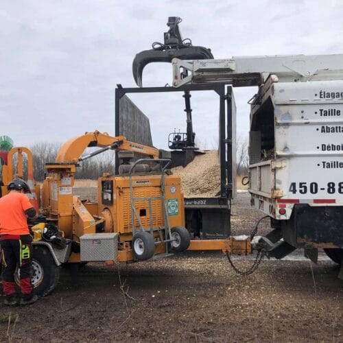 équipement de Émondage SBP