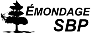 Émondage SBP