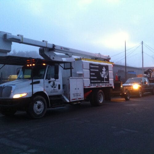 équipement de Émondage SBP