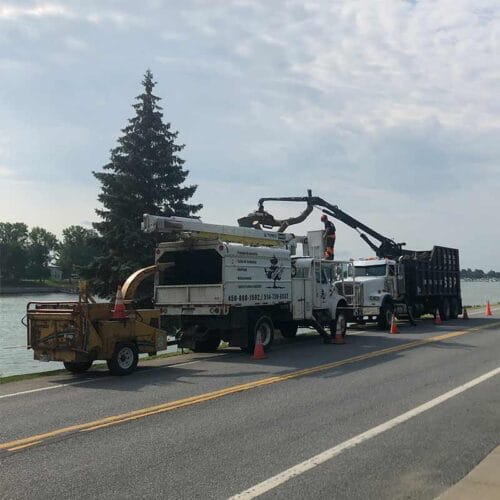 équipement de Émondage SBP