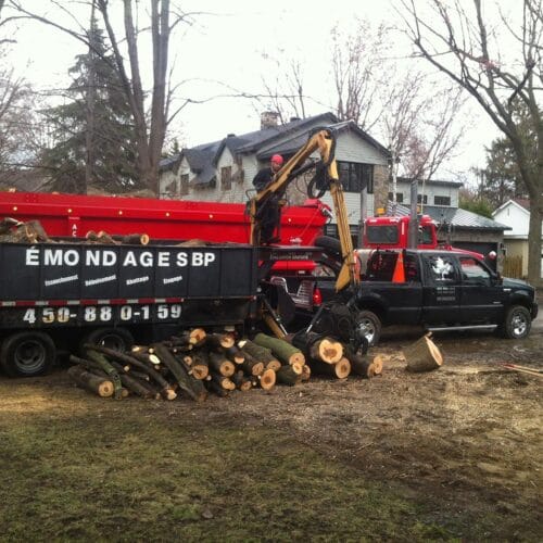 équipement de Émondage SBP