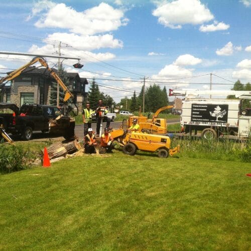 équipement de Émondage SBP