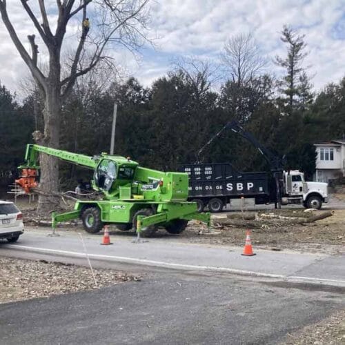 Merlo de Émondage SBP