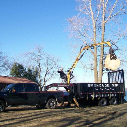 abattage d’arbre