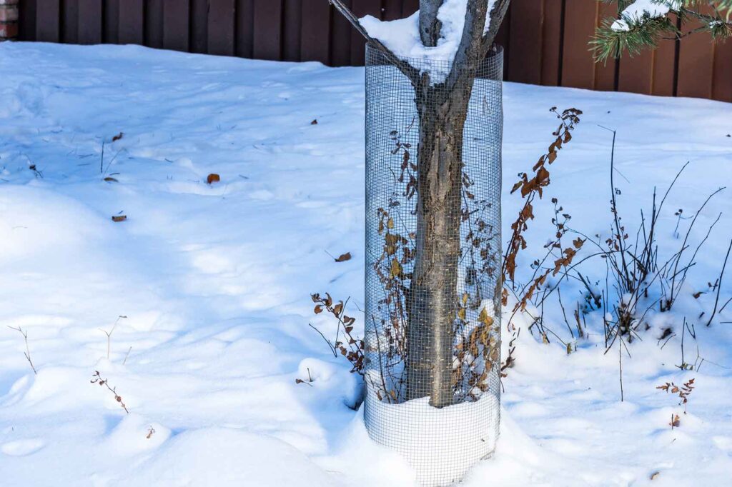protection pour tronc d'arbre