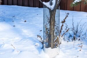 protection pour tronc d'arbre